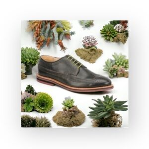 Scoop NYC x Walk Over 𖤐 Oxford Brogues Wingtips 𖤐 Olive Green 𖤐 9.5 𖤐 GQ Mag